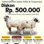 Pricelist Domba Kambing Kurban RSB 2024